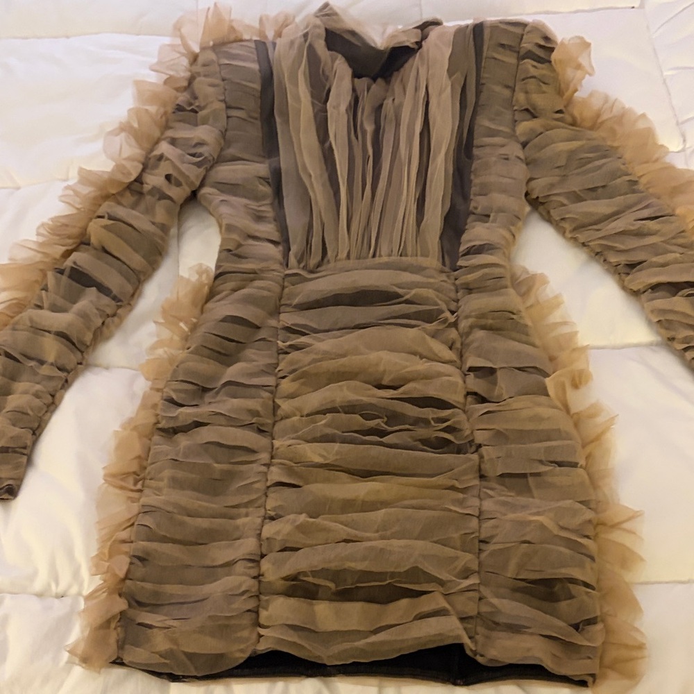Sheer Ruffled Long Sleeve Mini Dress in Taupe